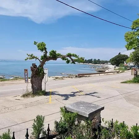 Romantic For Two On The Sea Zambratija (Istria)