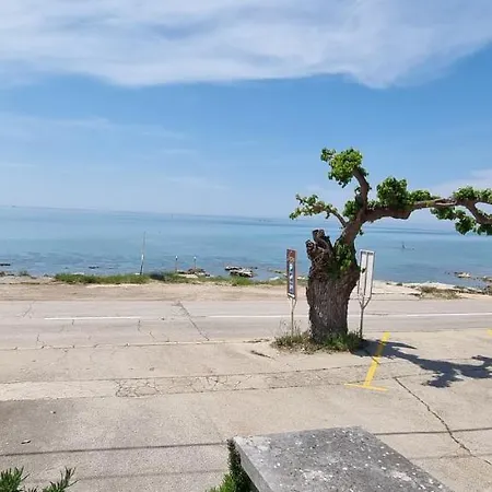 Romantic For Two On The Sea * Zambratija (Istria)